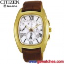 CITIZEN AT1013-07A:::Eco-Drive光動能計時碼表,免運費,刷卡不加價或3期零利率