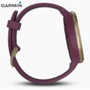 已完售,GARMIN vivomove-hr-sport-berry-gold運動款─ 野莓紫-野莓色矽膠錶帶(小/中)(公司貨,保固1年):::指針智慧腕錶,步數,卡路里,距離,心率,熱血