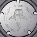 【金響鐘錶】現貨,CITIZEN BN0225-04L(公司貨,保固2年):::Promaster,光動能,鈦,日期,鯨鯊限定,防水性能水深200公尺,E168機芯,BN022504L