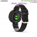 【金響鐘錶】預購,GARMIN lily-darkbronze 經典款-暗棕深古銅(公司貨,保固1年):::GPS智慧跑錶,,Lily